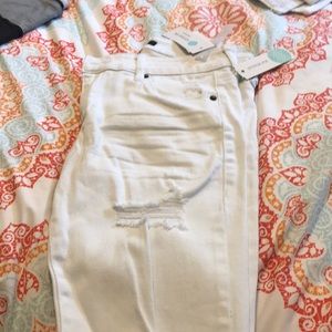 STS Blue - Never Distressed Frayed Hem Skinny Jean